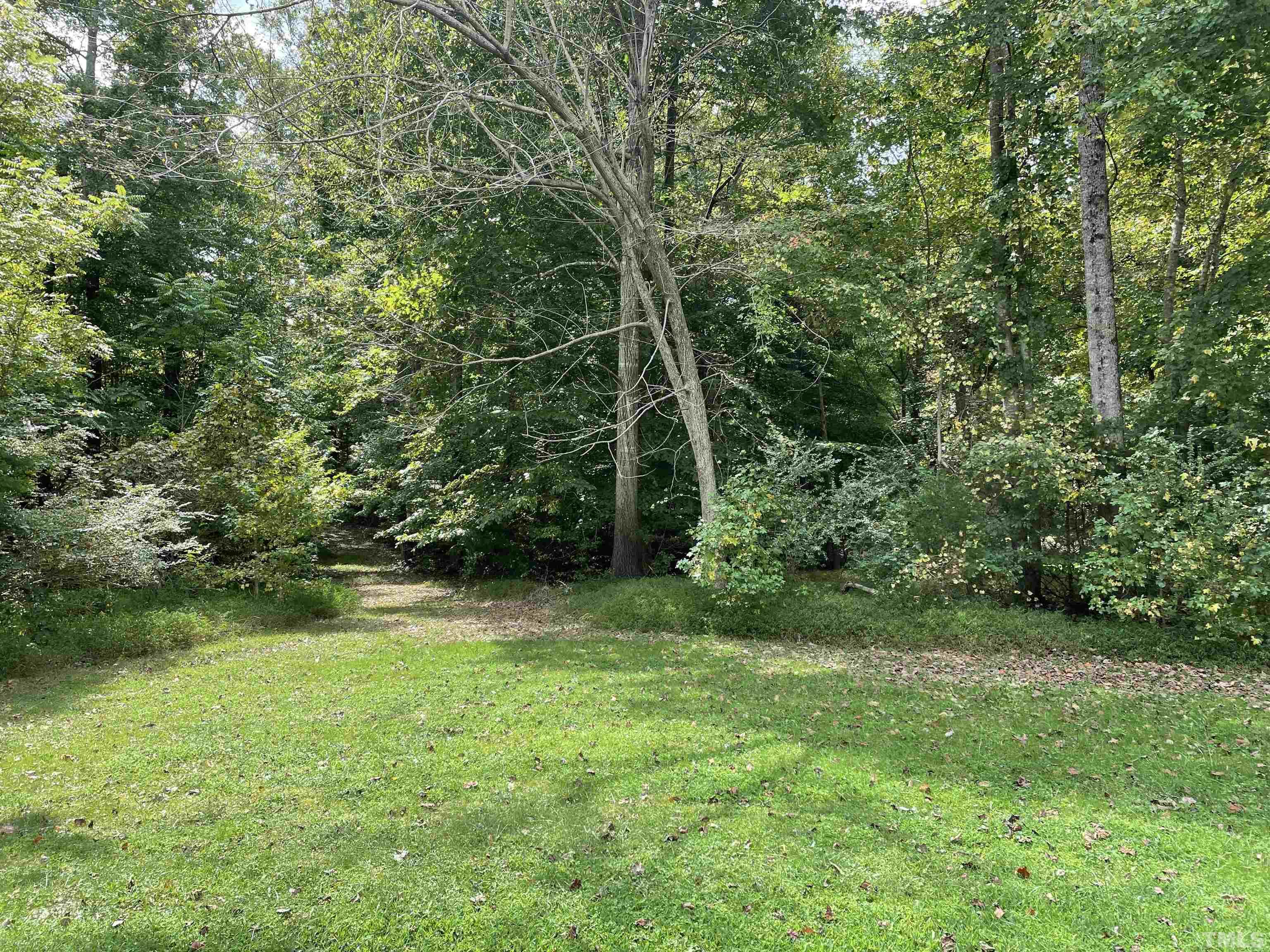 0 Cooks Mill Road Mebane, NC 27302 - Photo 5 of 5 Gallery Image 5