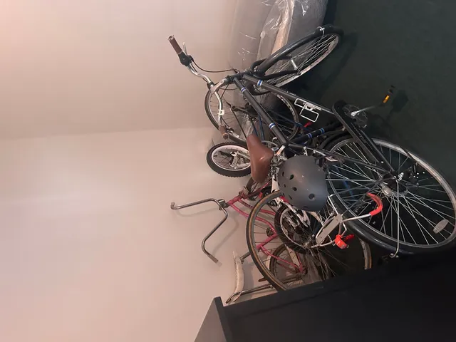 $565,000 | 723 South Aberdeen Street, Chicago, IL 60607