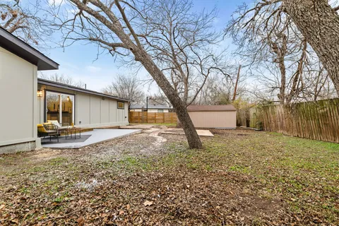 a view of a backyard with a tree