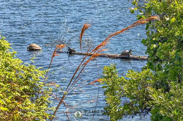 $736,000 | 37 Lost Lake Drive, St. Augustine, FL 32086