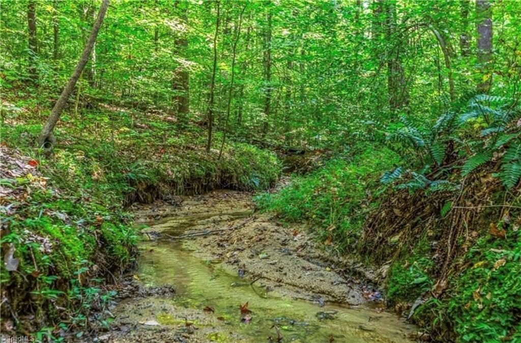 7150 Belews Run Road Walnut Cove, NC 27052 - Photo 50 of 50 Gallery Image 50