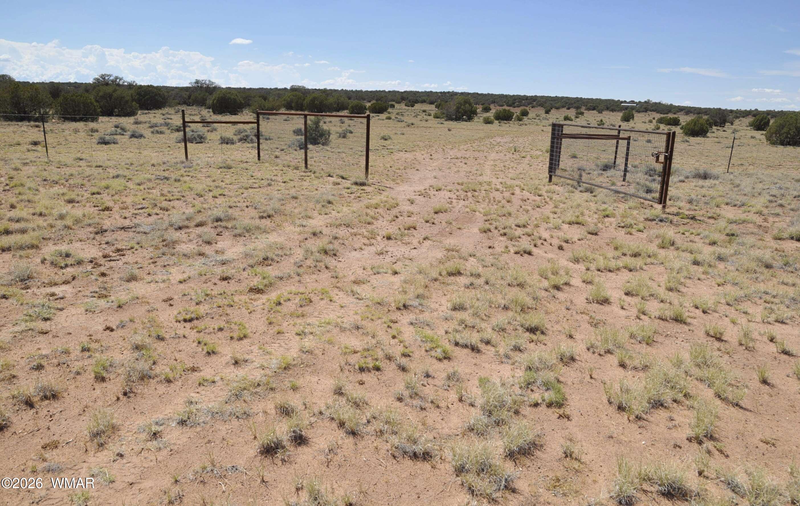 19-c & D County Road Concho, AZ 85924 - Photo 4 of 24