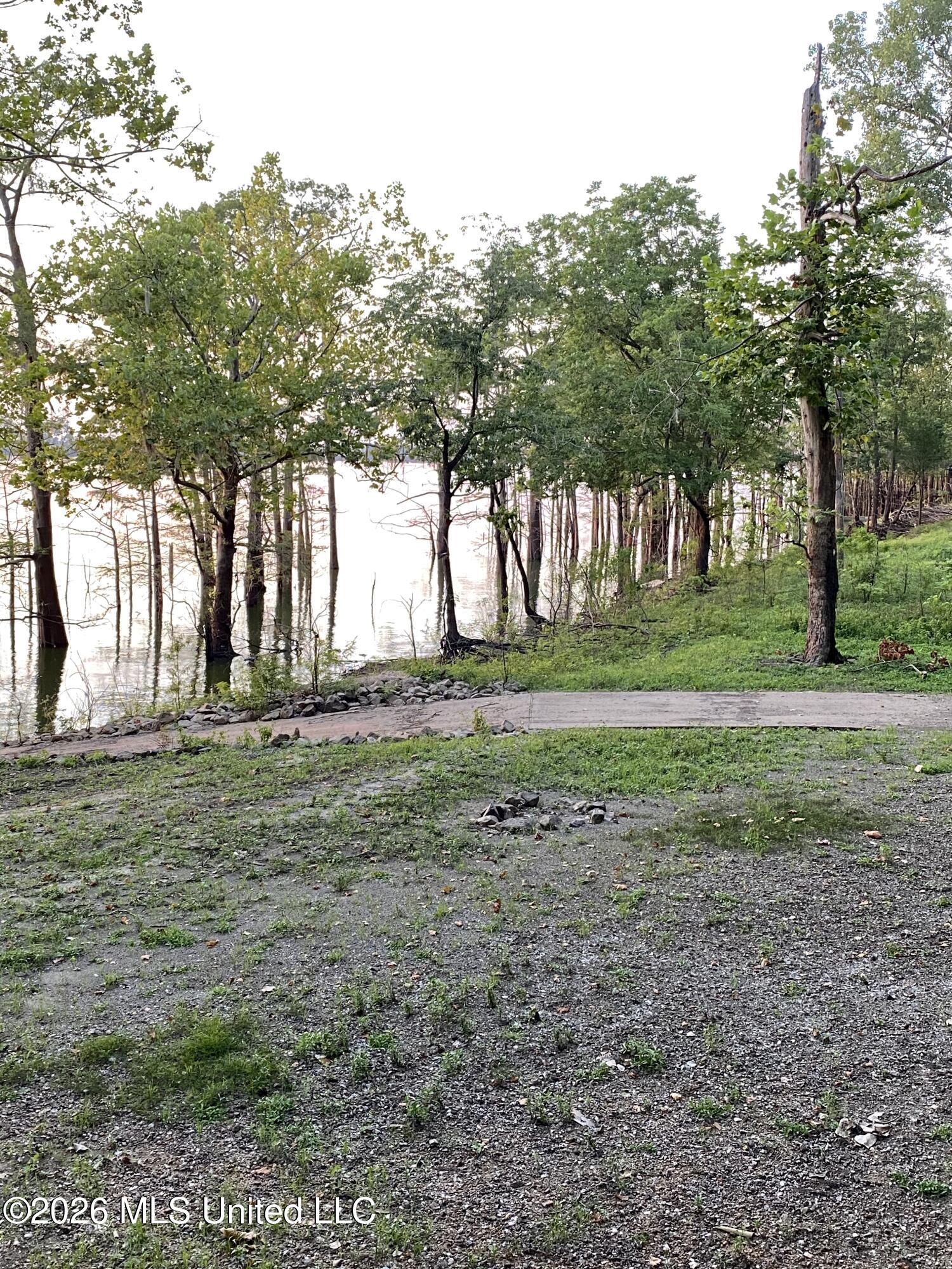 2807 Lake Mary Road Woodville, MS 39669 - Photo 7 of 25 06