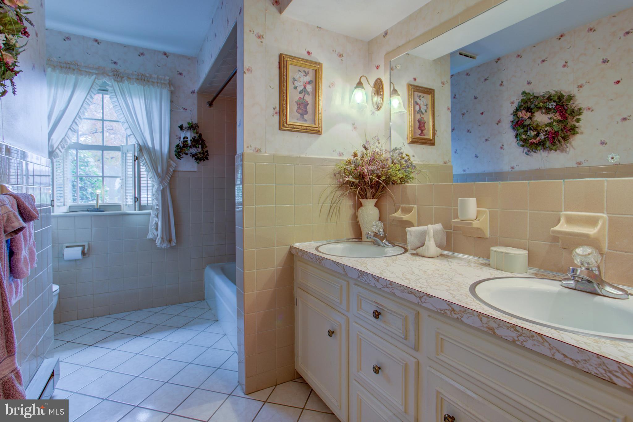 54 Logging Road Leola, PA 17540 - Photo 17 of 23 Full bath with dual sinks