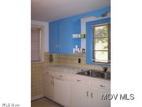 110 Co Rte 9/6 Spencer, WV 25276 - Photo 4 of 18 Spacious country kitchen