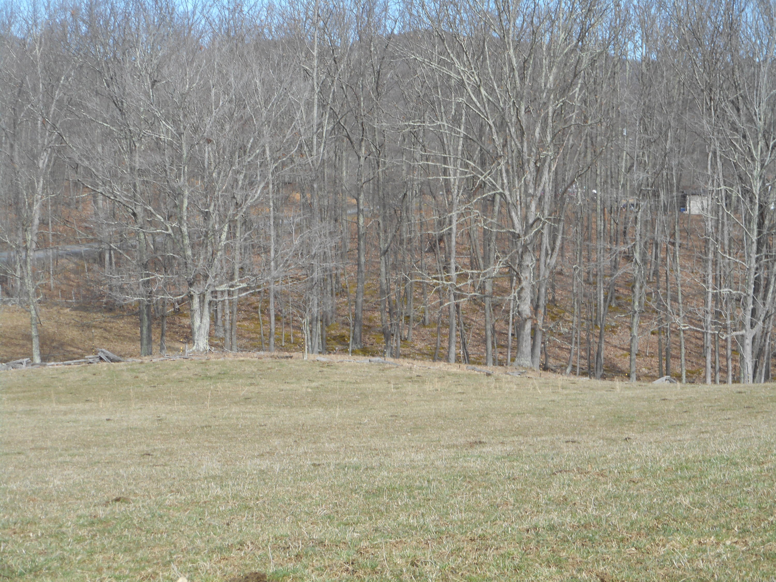 6484 Elk Knob Road Hinton, WV 25951 - Photo 5 of 25 Gallery Image 5