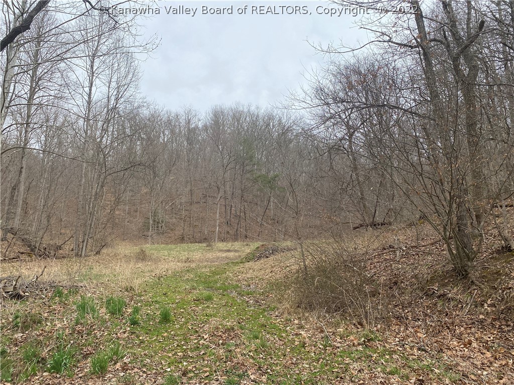 709 County Road 21/20 Ripley, WV 25271 - Photo 34 of 50 Gallery Image 34