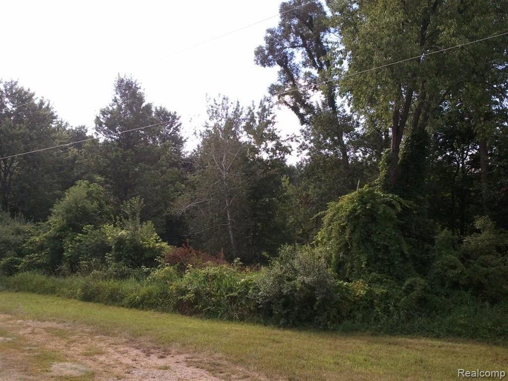 6680 West Coon Lake Road Howell, MI 48843 - Photo 9 of 16 view4.jpg