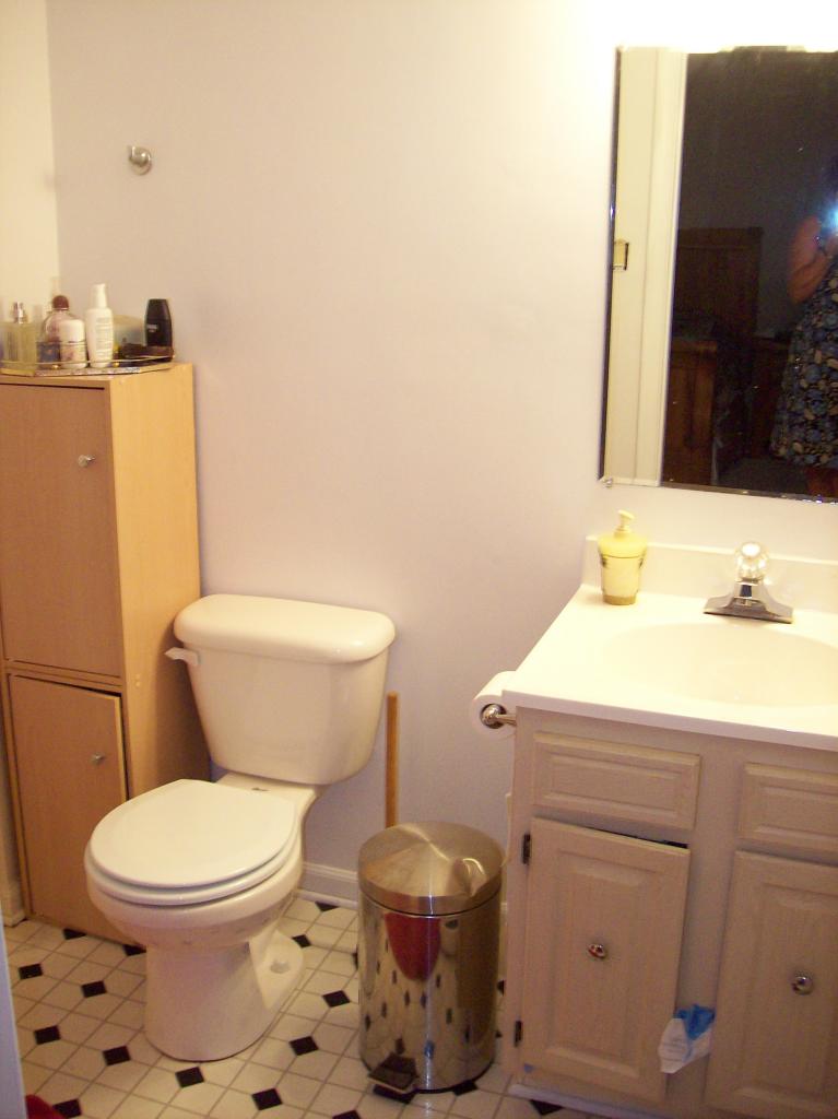 6232 Merriman Road Roanoke, VA 24018 - Photo 11 of 12 Master Bath