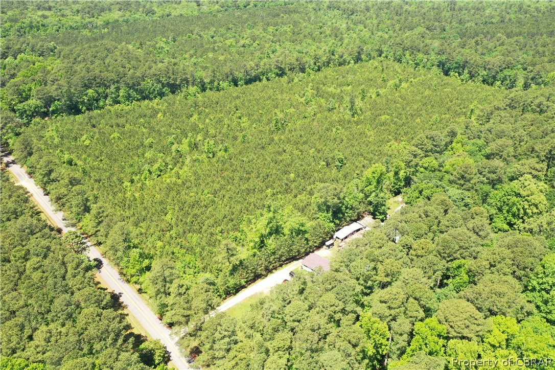 16-ac Ridge Road Cobbs Creek, VA 23035 - Photo 39 of 43 View of bird's eye view