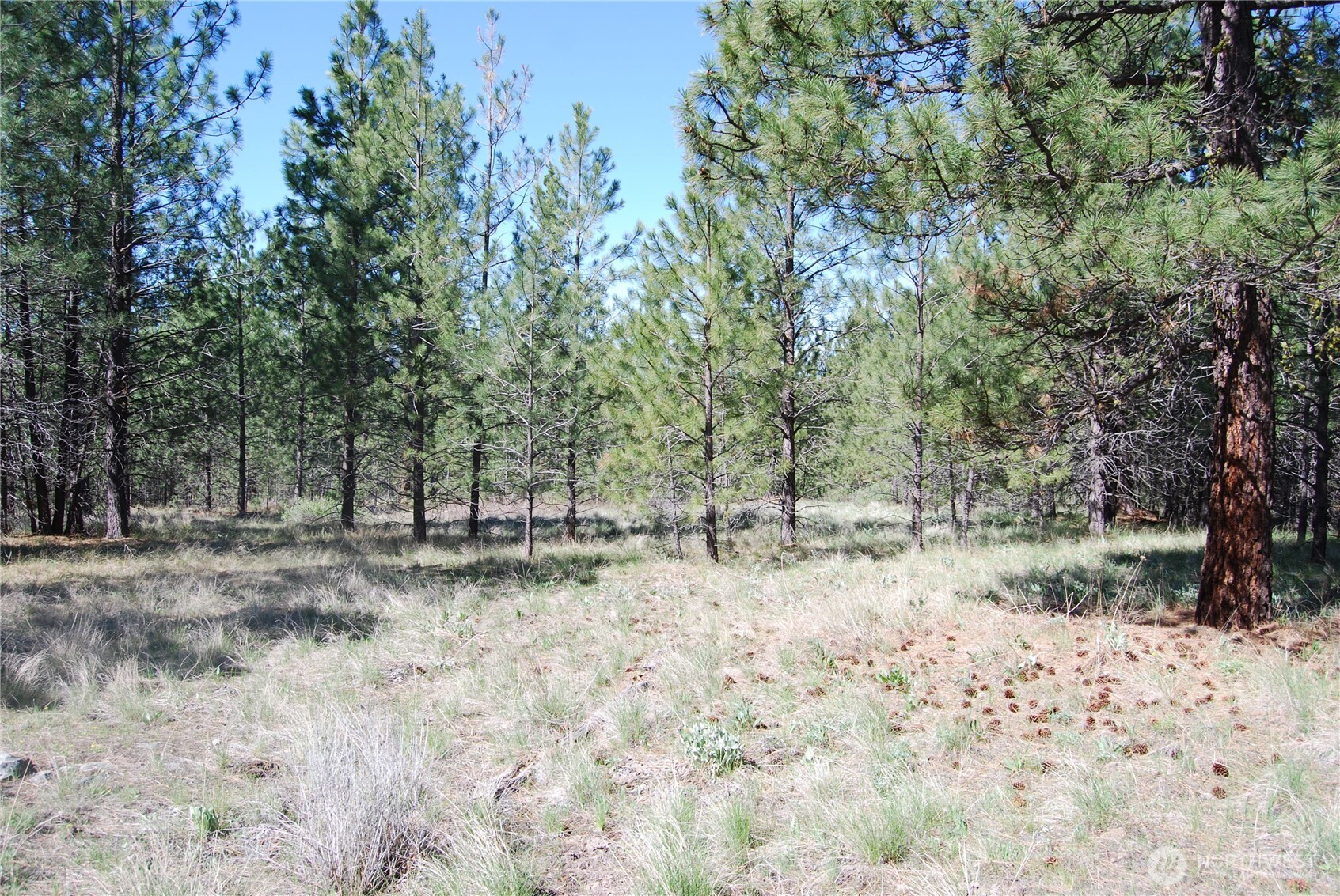 4 Chief Joseph Spur East Riverside, WA 98849 - Photo 11 of 19
