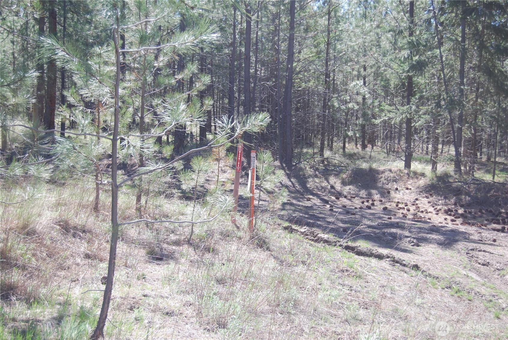 4 Chief Joseph Spur East Riverside, WA 98849 - Photo 14 of 19