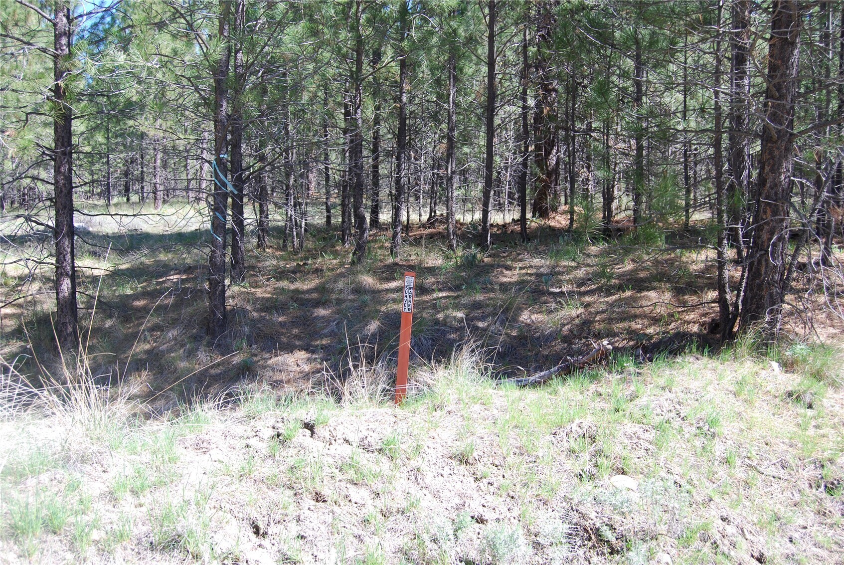 4 Chief Joseph Spur East Riverside, WA 98849 - Photo 15 of 19
