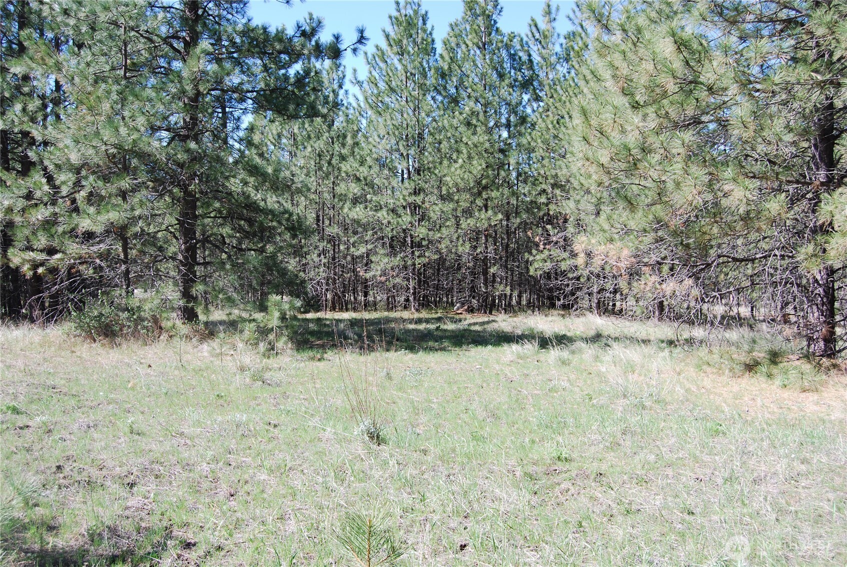 4 Chief Joseph Spur East Riverside, WA 98849 - Photo 16 of 19