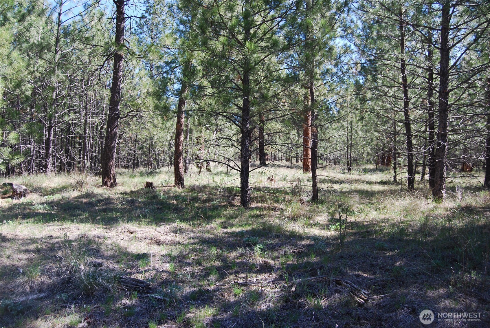 4 Chief Joseph Spur East Riverside, WA 98849 - Photo 18 of 19