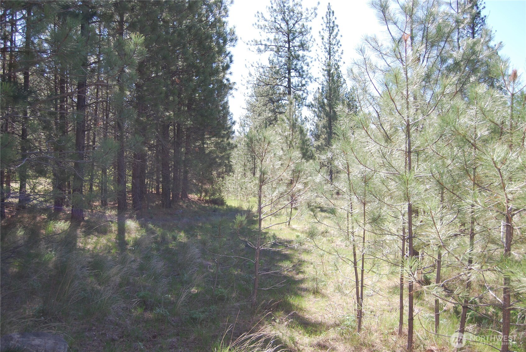 4 Chief Joseph Spur East Riverside, WA 98849 - Photo 19 of 19