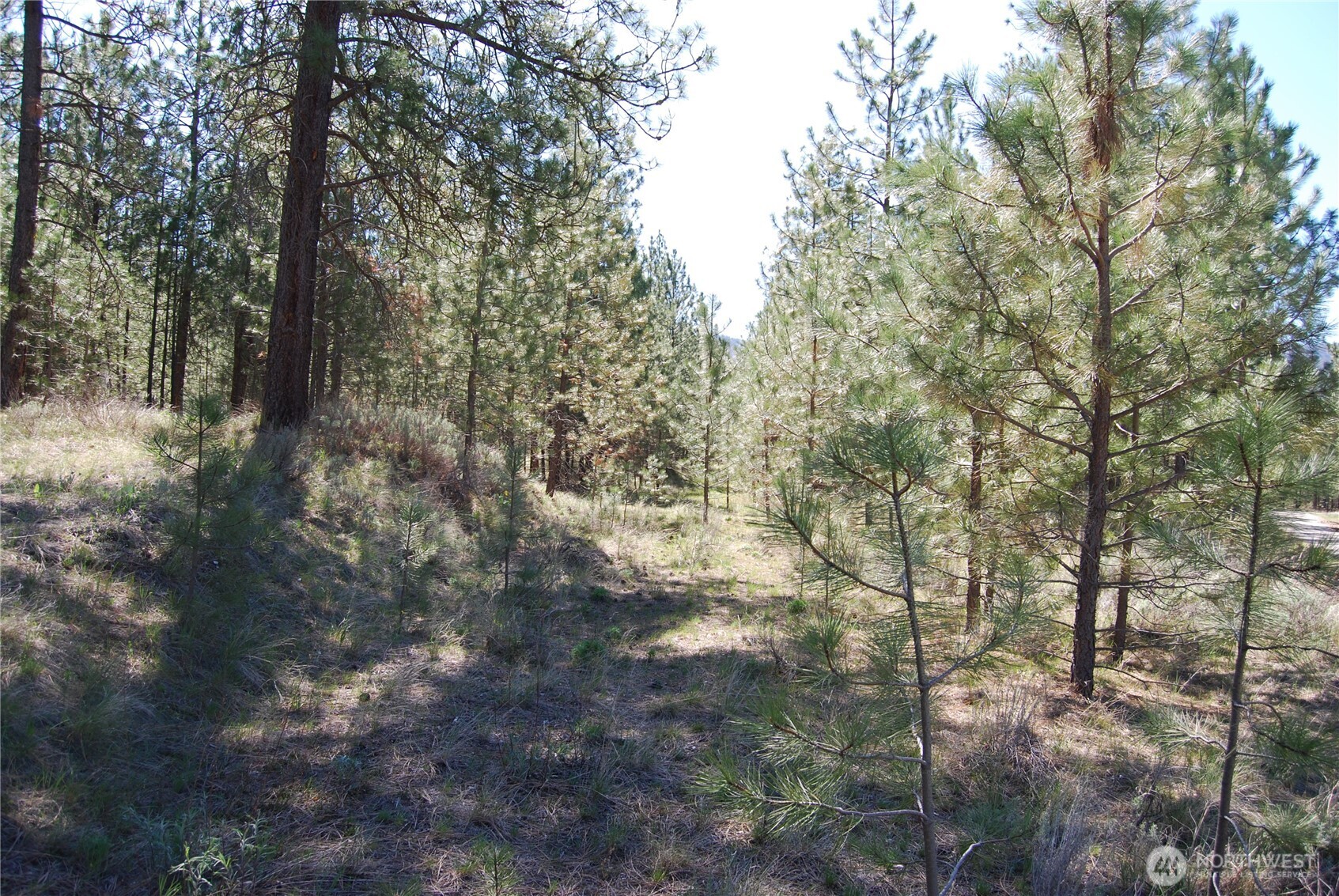 4 Chief Joseph Spur East Riverside, WA 98849 - Photo 2 of 19