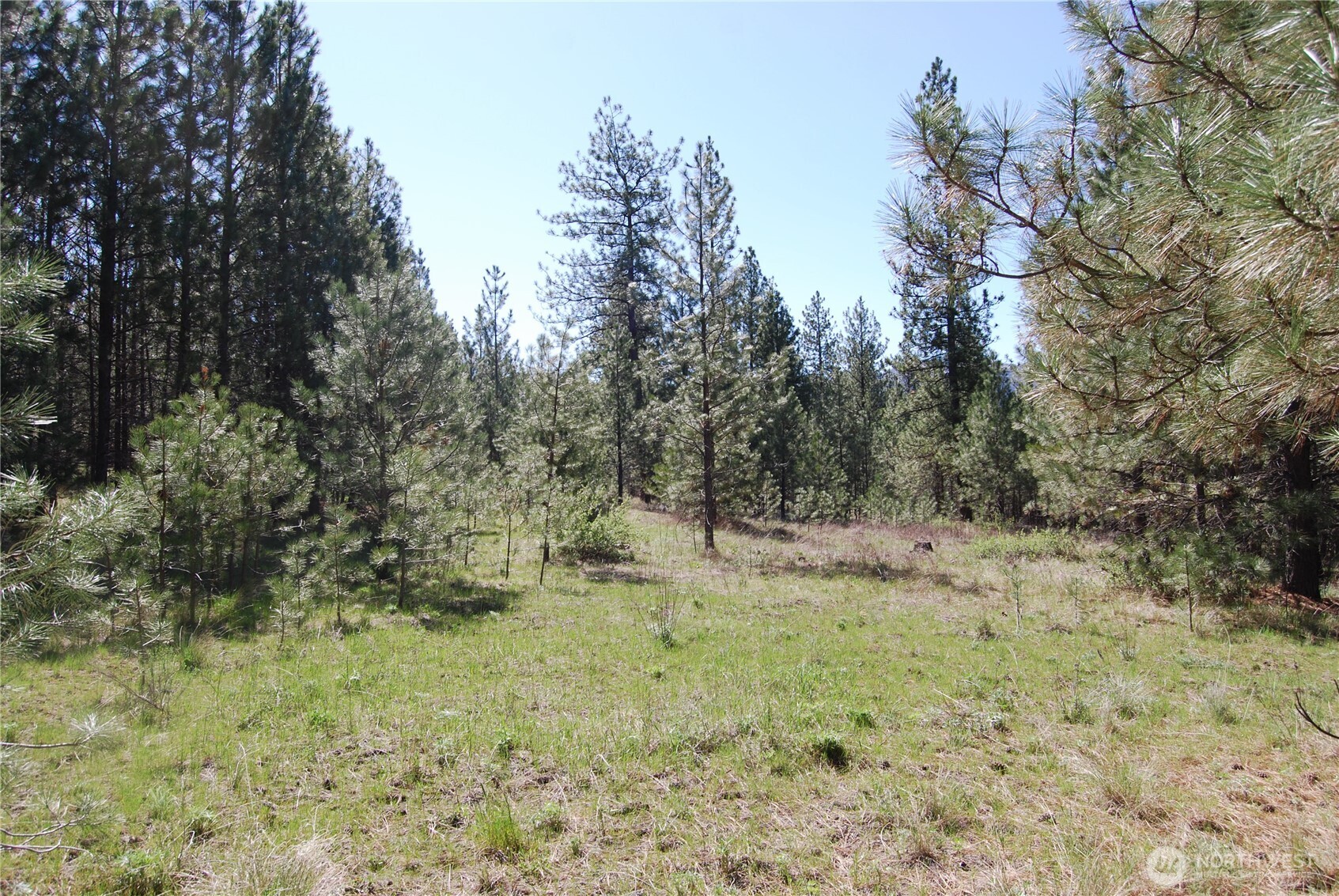 4 Chief Joseph Spur East Riverside, WA 98849 - Photo 4 of 19