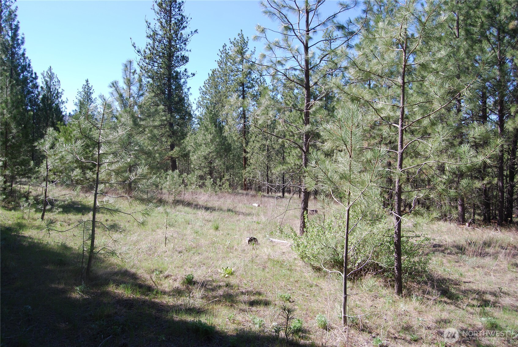 4 Chief Joseph Spur East Riverside, WA 98849 - Photo 6 of 19