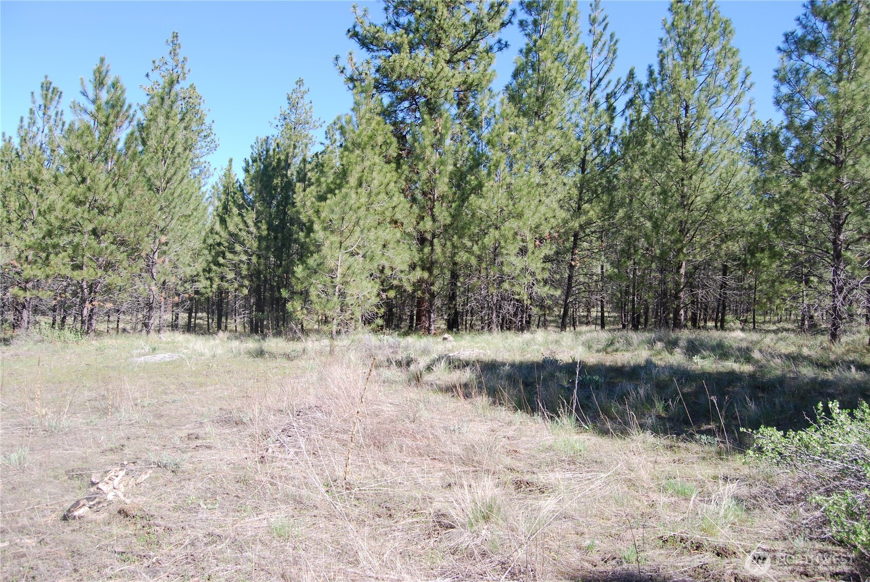 4 Chief Joseph Spur East Riverside, WA 98849 - Photo 7 of 19