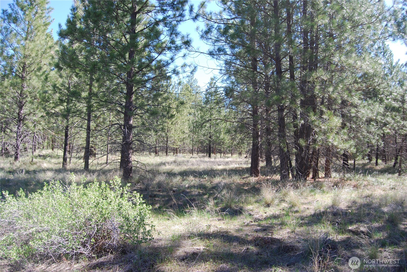 4 Chief Joseph Spur East Riverside, WA 98849 - Photo 8 of 19