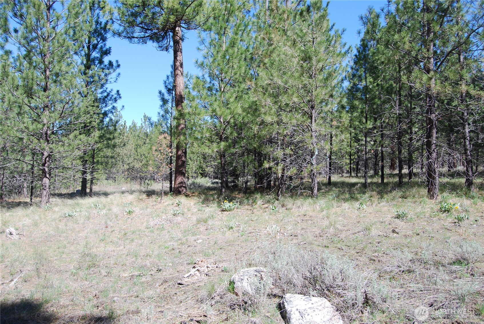 4 Chief Joseph Spur East Riverside, WA 98849 - Photo 9 of 19