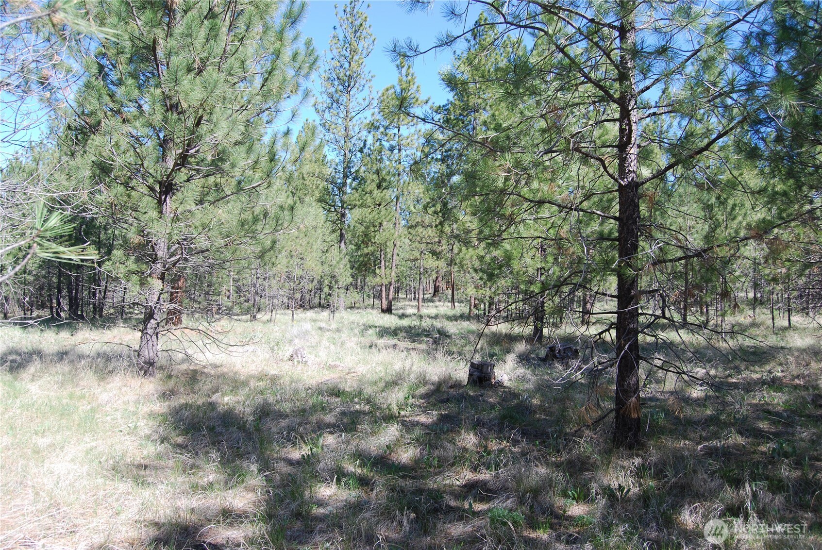 4 Chief Joseph Spur East Riverside, WA 98849 - Photo 10 of 19