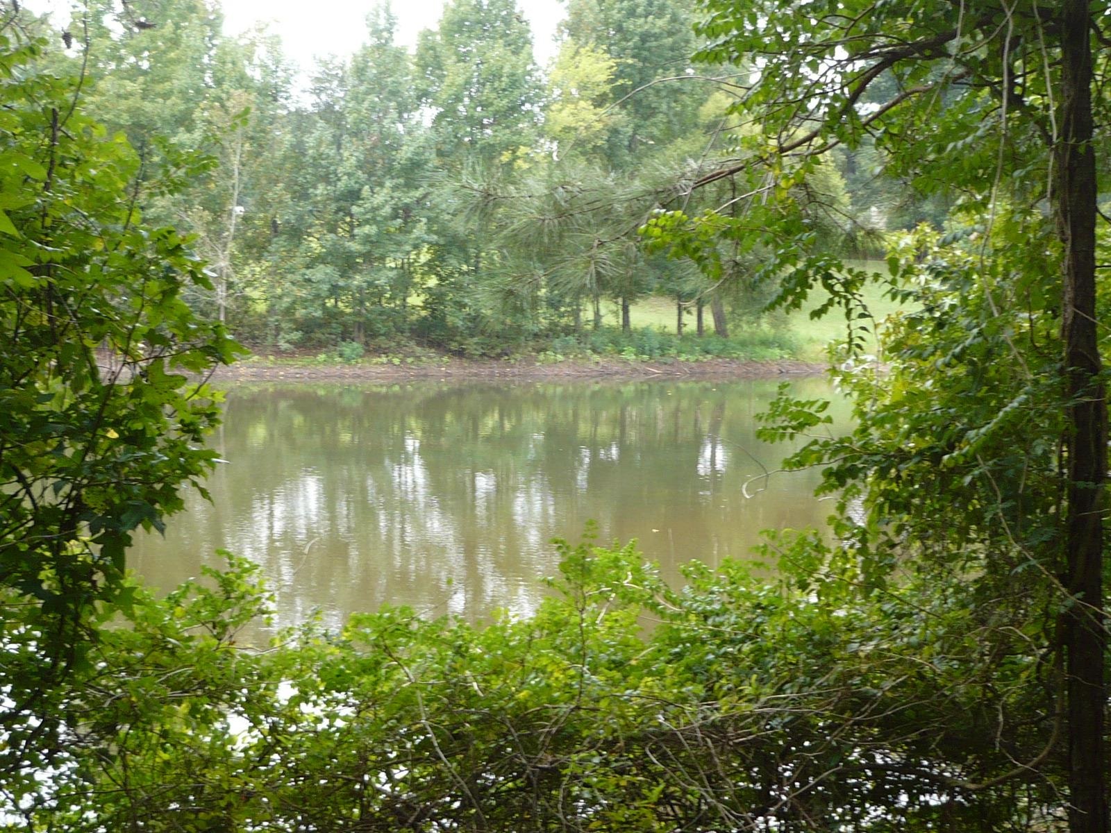 3.12-acres Cool Springs Road Fort Valley, GA 31030 - Photo 13 of 13