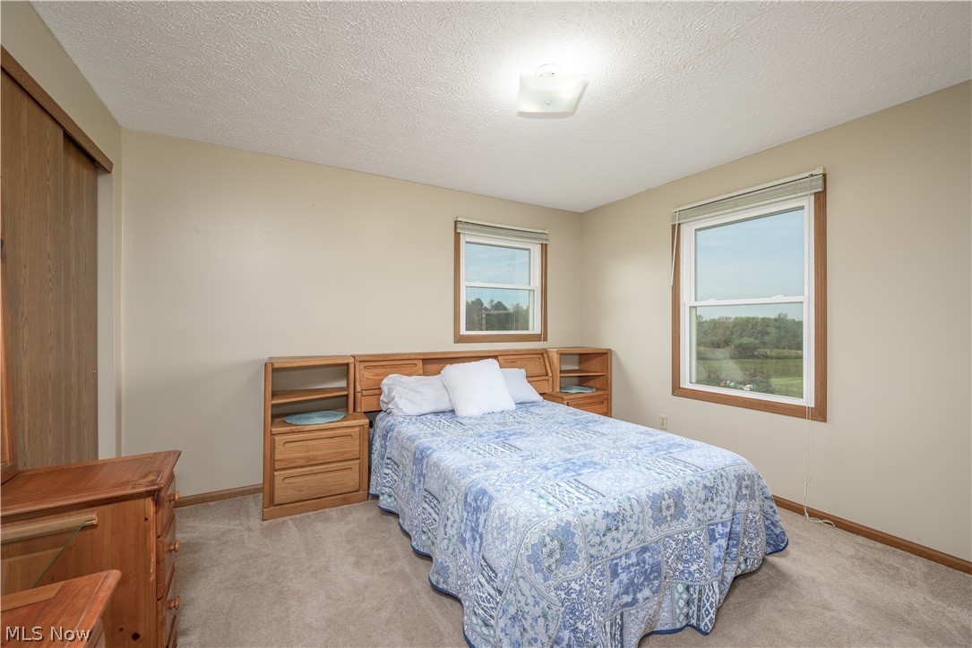 4715 Rock Spring Road Ravenna, OH 44266 - Photo 17 of 21 Carpeted room featuring two windows with wood-finish trim, a ceiling light fixture, and light-toned wall paint