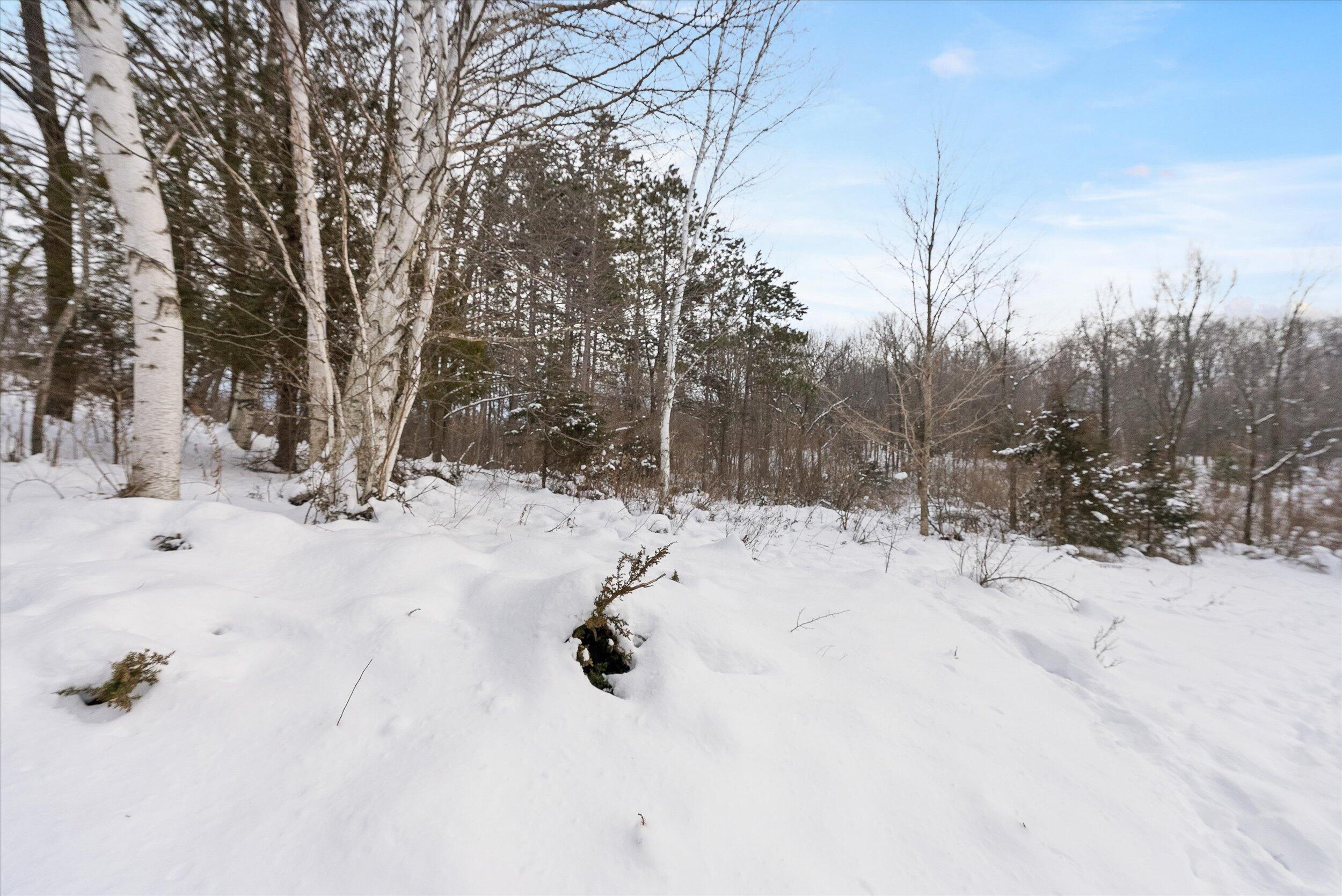 3661 Blue Goose Road West Bend, WI 53095 - Photo 45 of 66 45-Backyard