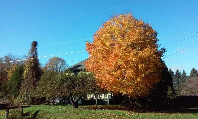 $419,900 | 3661 Blue Goose Road, West Bend, WI 53095