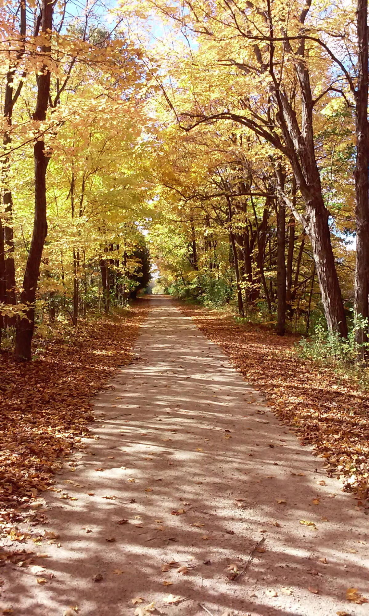 3661 Blue Goose Road West Bend, WI 53095 - Photo 55 of 66 6255619498546923724