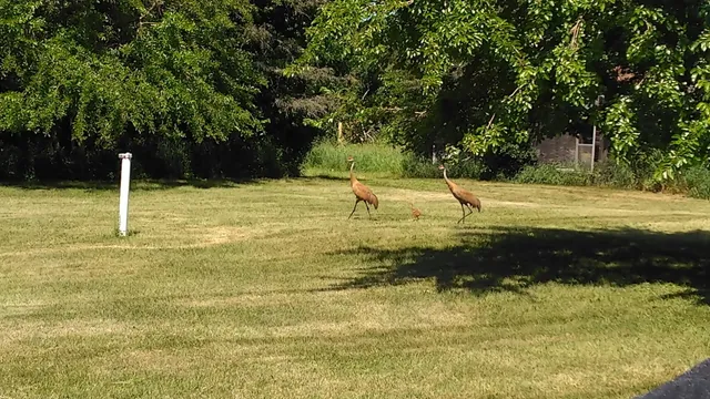 $419,900 | 3661 Blue Goose Road, West Bend, WI 53095