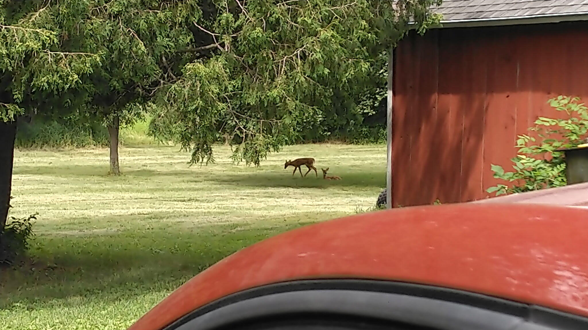 3661 Blue Goose Road West Bend, WI 53095 - Photo 60 of 66 2053793732722179669