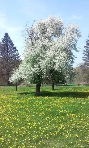 $419,900 | 3661 Blue Goose Road, West Bend, WI 53095