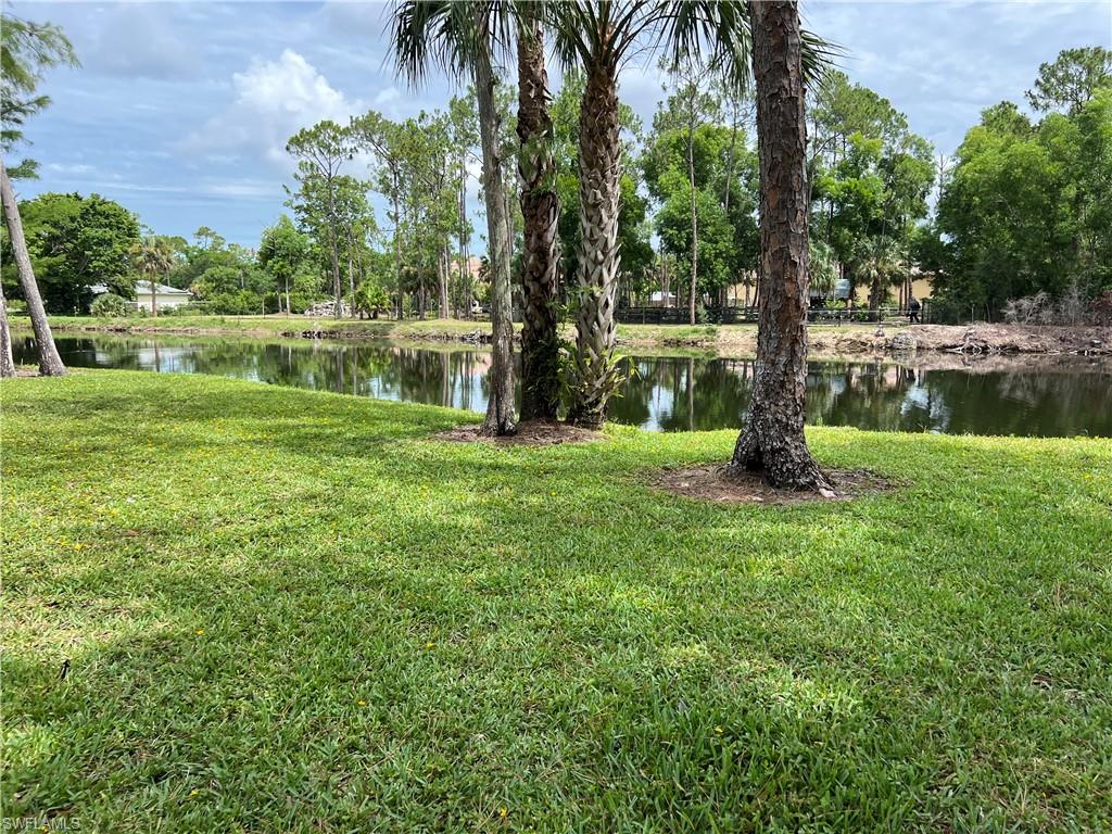 Undisclosed Address Naples, FL 34116 - Photo 3 of 14 a view of a park with large trees