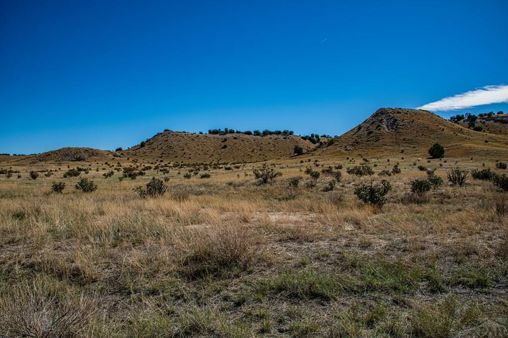 Tbd Tbd Deer Trail Rye, CO 81069 - Photo 25 of 32