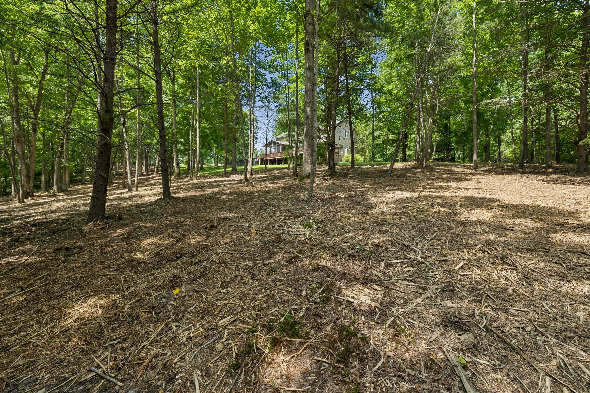 7555 County Line Road White Bluff, TN 37187 - Photo 74 of 89