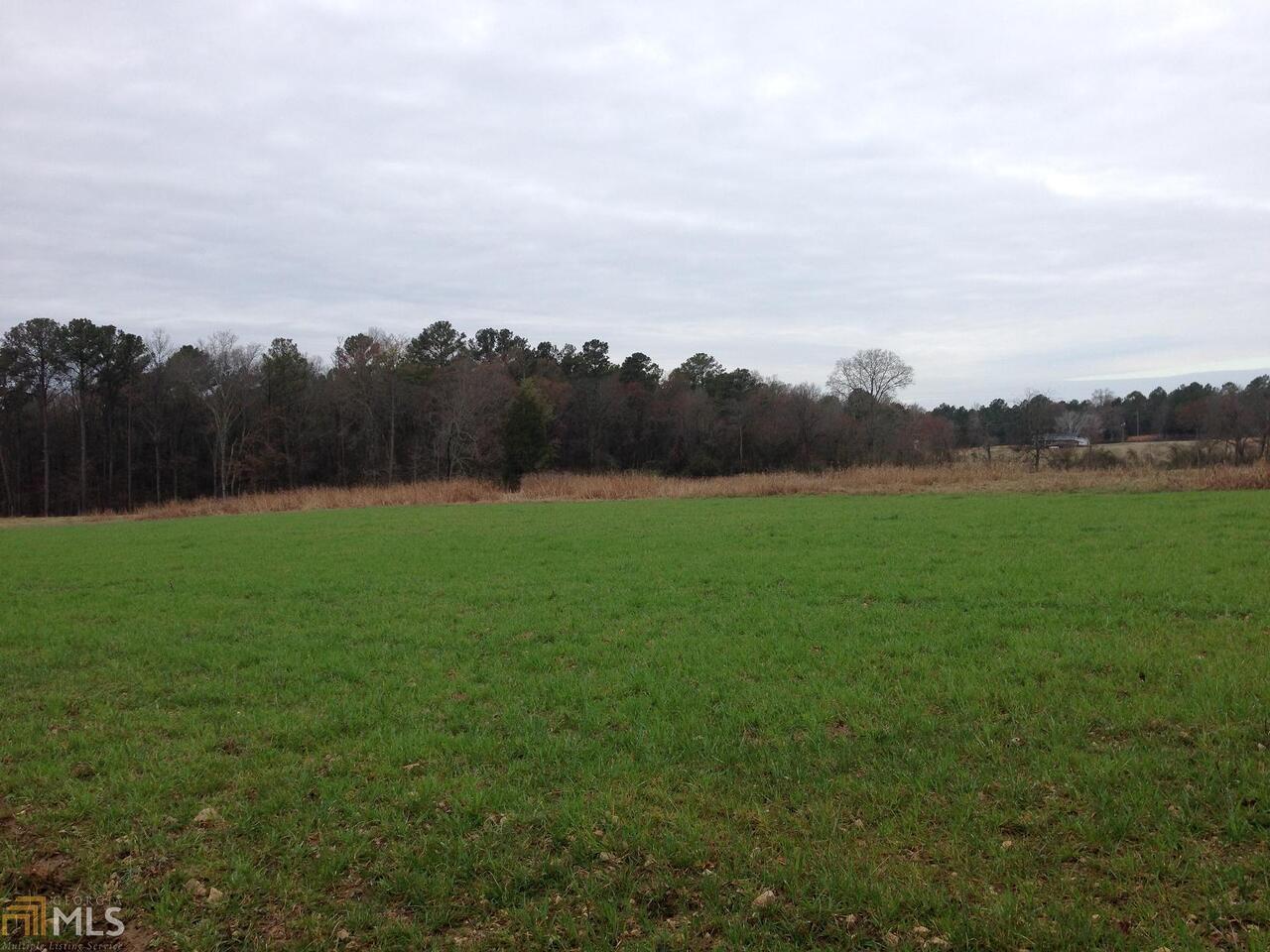 0 Bells Ferry Road Elberton, GA 30635 - Photo 1 of 1 a view of field with trees in the background