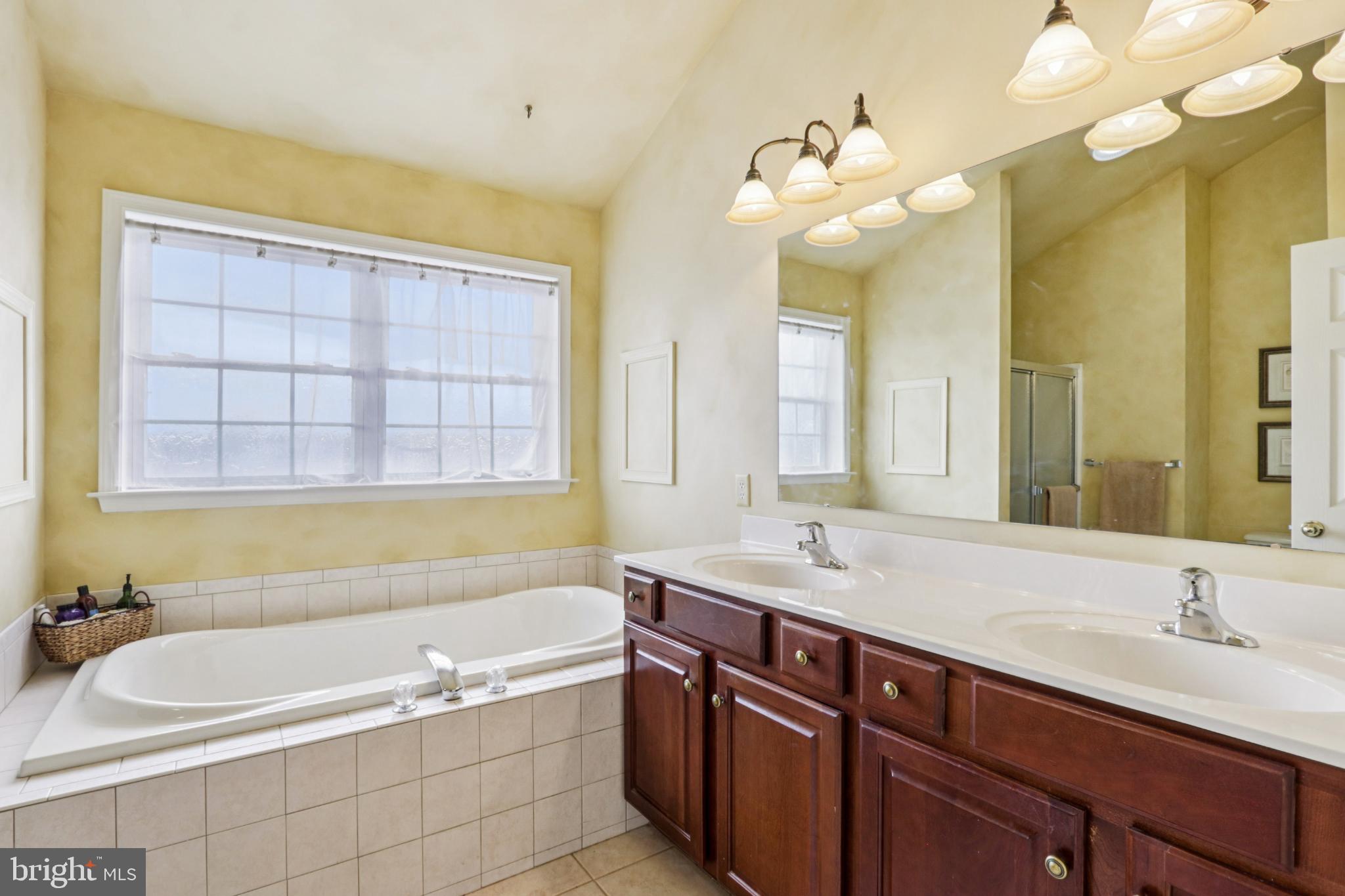 506 Stony Run Road Spring City, PA 19475 - Photo 31 of 74 Serene bathroom with natural light and elegance.