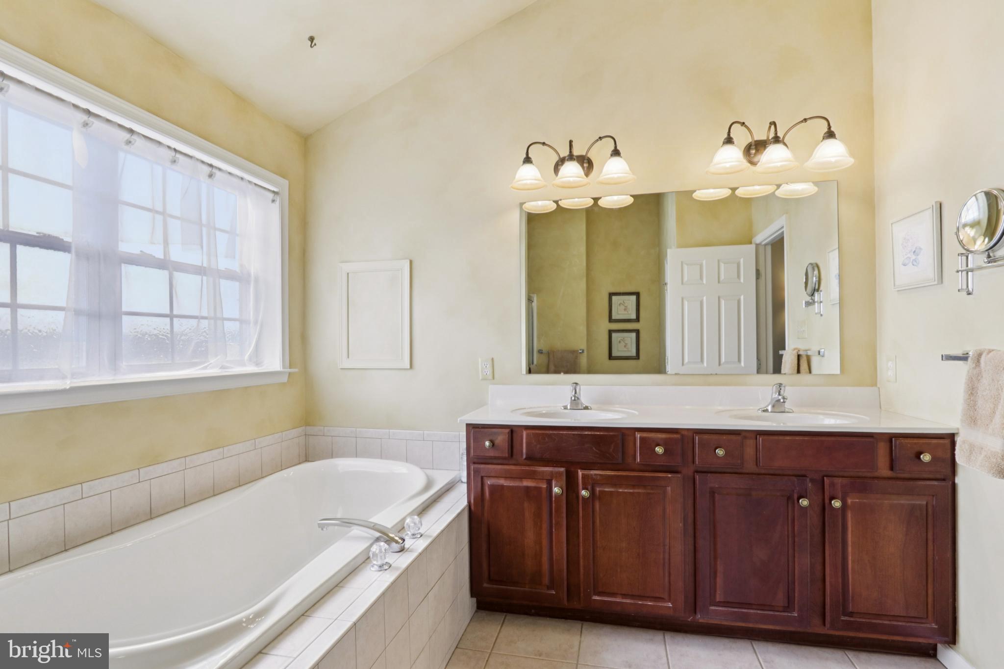 506 Stony Run Road Spring City, PA 19475 - Photo 32 of 74 Serene bathroom with natural light and elegance.