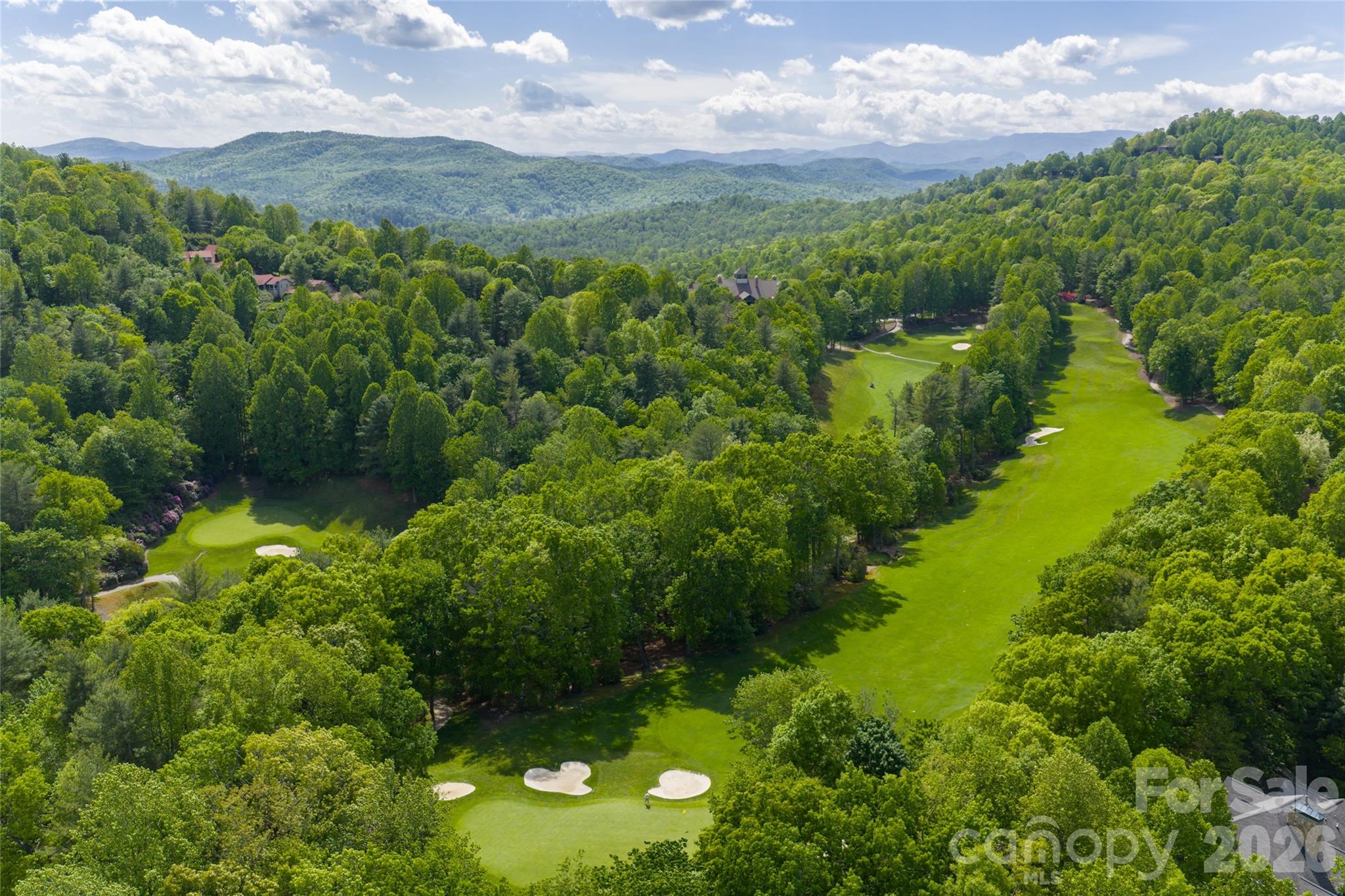12 Spring Ridge Lane Hendersonville, NC 28739 - Photo 42 of 45 Gallery Image 42