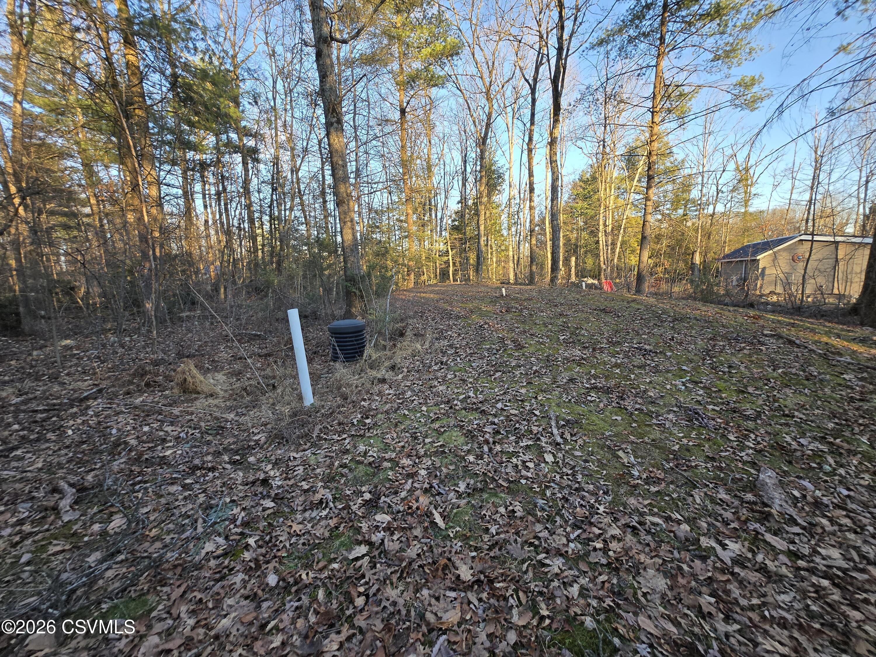 Lot 2 Diehl Road Mifflinburg, PA 17844 - Photo 6 of 9