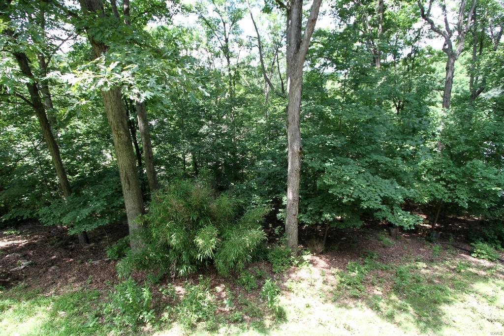 1336 Richland Meadows Drive Ballwin, MO 63021 - Photo 29 of 30 Gallery Image 29
