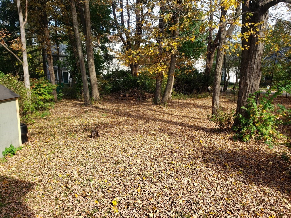 615 Riverside Drive Northampton, MA 01062 - Photo 5 of 16