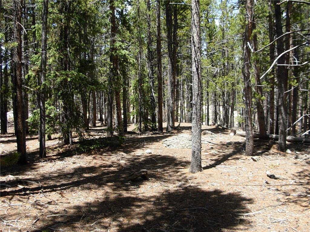 900 Venture Road Fairplay, CO 80440 - Photo 11 of 25 Gallery Image 11