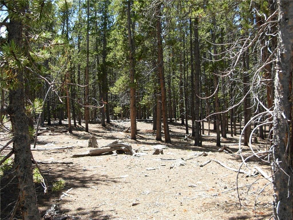 900 Venture Road Fairplay, CO 80440 - Photo 14 of 25 Gallery Image 14