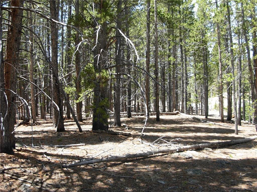 900 Venture Road Fairplay, CO 80440 - Photo 15 of 25 Gallery Image 15