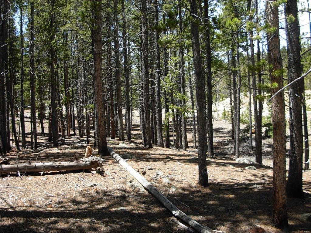 900 Venture Road Fairplay, CO 80440 - Photo 16 of 25 Gallery Image 16