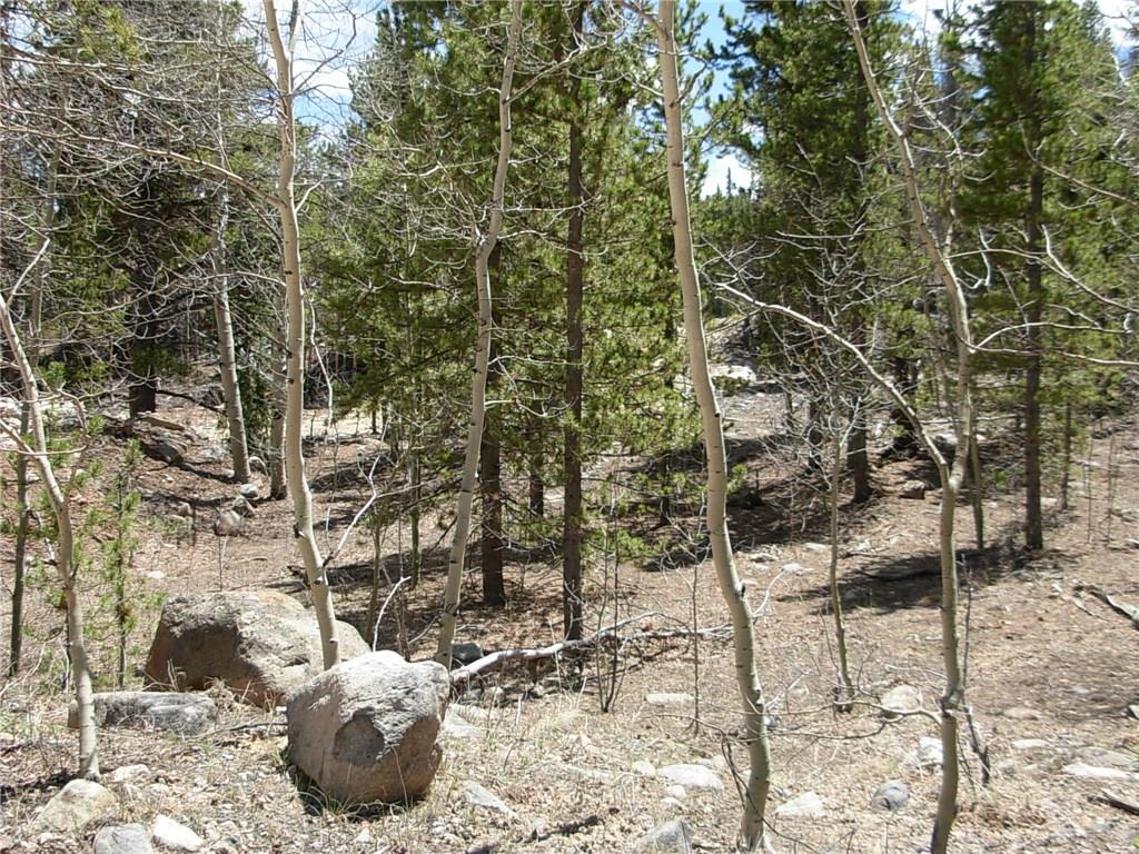 900 Venture Road Fairplay, CO 80440 - Photo 19 of 25 Gallery Image 19